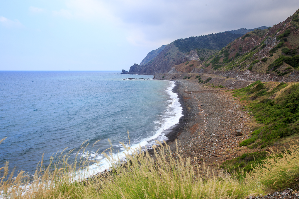 Cevlik